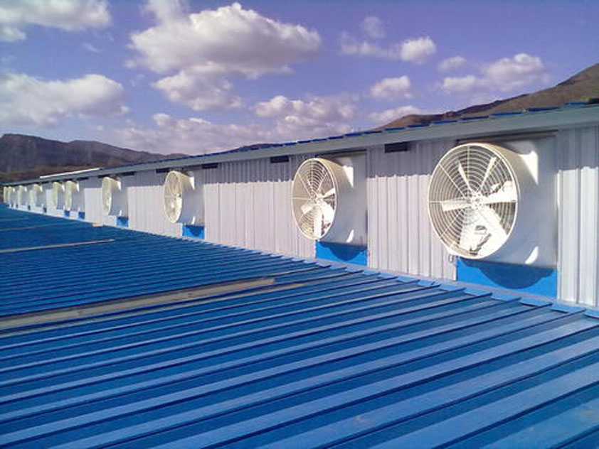 鐵皮廠房降溫這幾種解決方案你知道嗎？