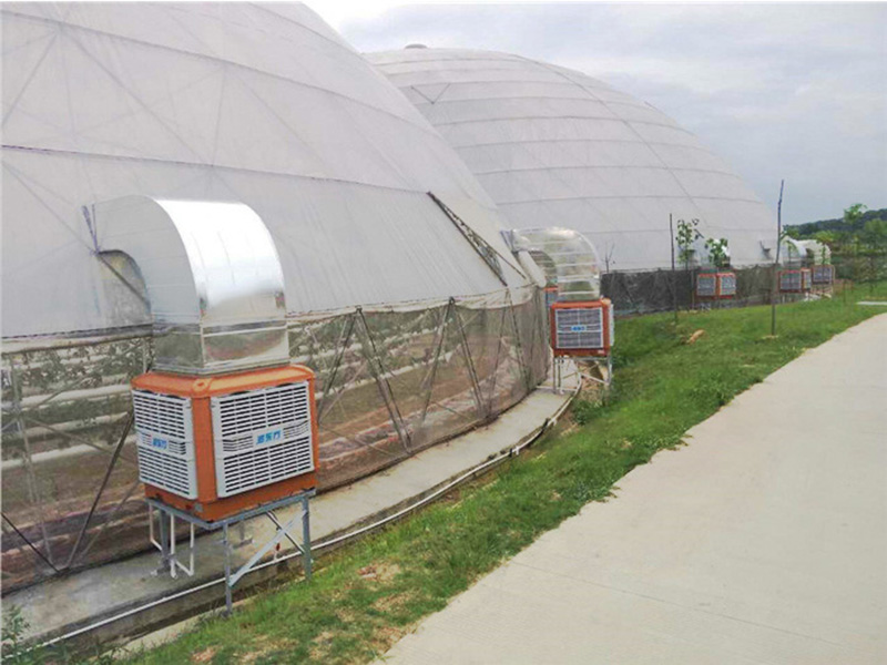 溫室大棚通風降溫設備|潤東方環(huán)?？照{(diào)