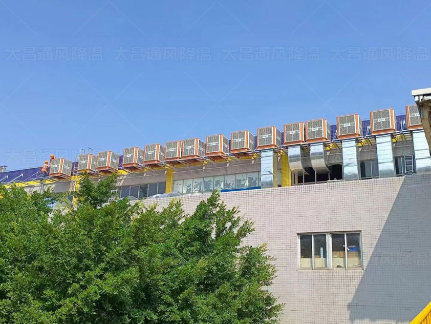 鐵皮廠房如何降溫，來這里了解更多方案