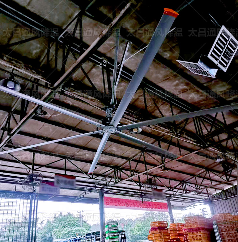 工業(yè)大風(fēng)扇有幾種，看完這些你就知道了