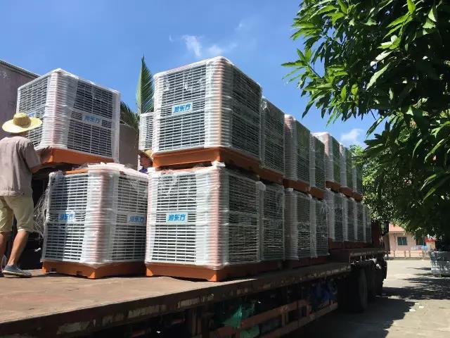 工廠車間快速降溫方法，你知道嗎？